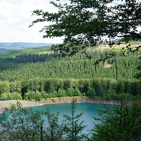 Appartement Ferienwohnung Mit Kamin Im Thuringer Wald Am Rennsteig - #124843
